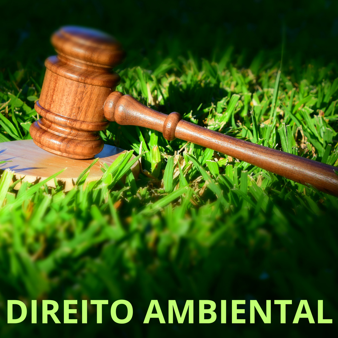 Direito Ambiental